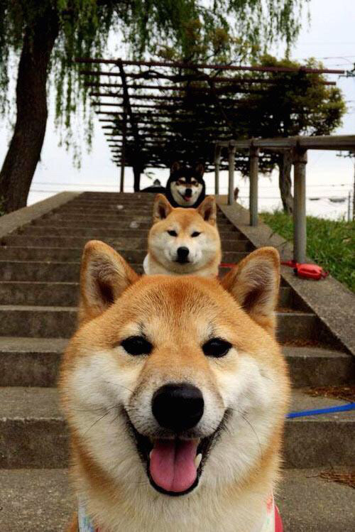 涅槃与风暴,迪亚斯末节18分逆转乾坤,旧金山的天亮之前