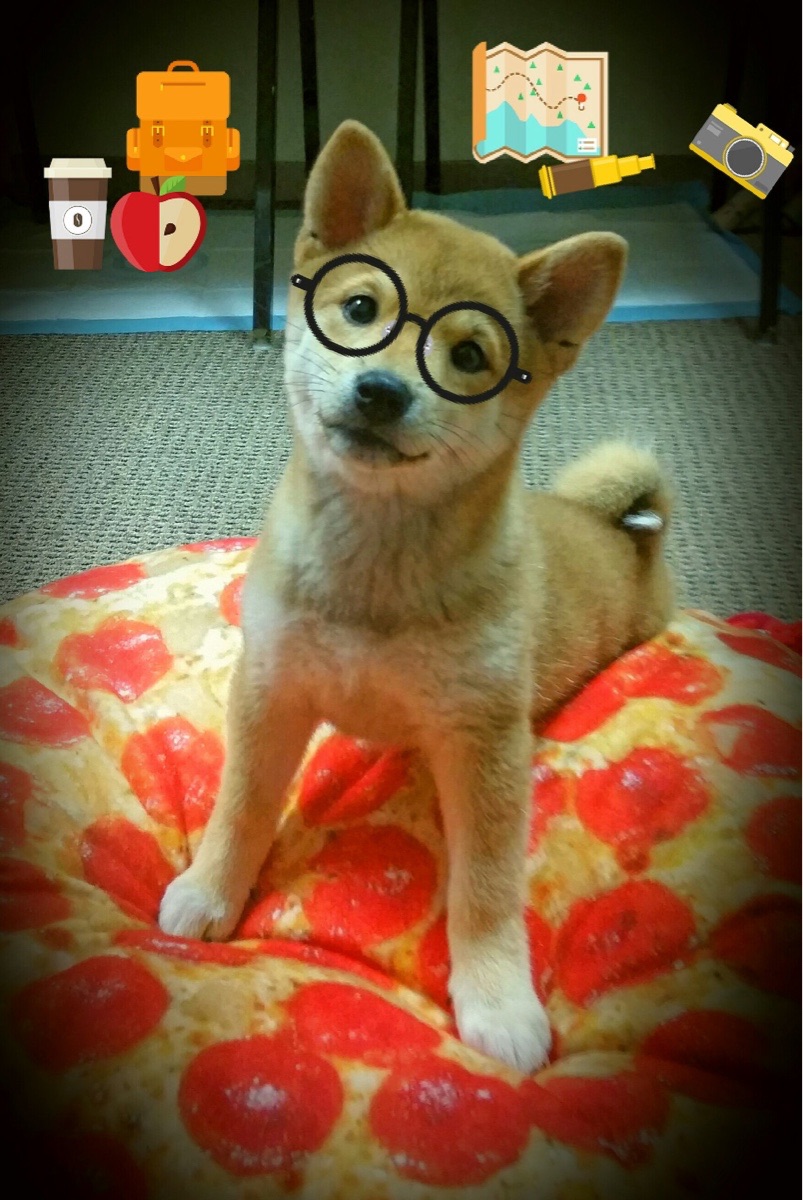 闪电三连击!哥伦比亚黑暗9分钟击溃乌拉圭,罗德里戈一己之力改乾坤