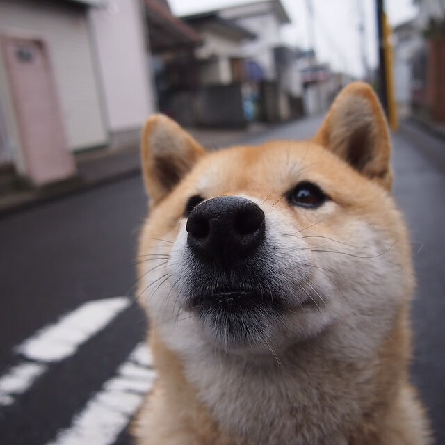 逆转之王！黄喜灿末节神级接管，佛罗伦萨式奇迹再现绿茵场
