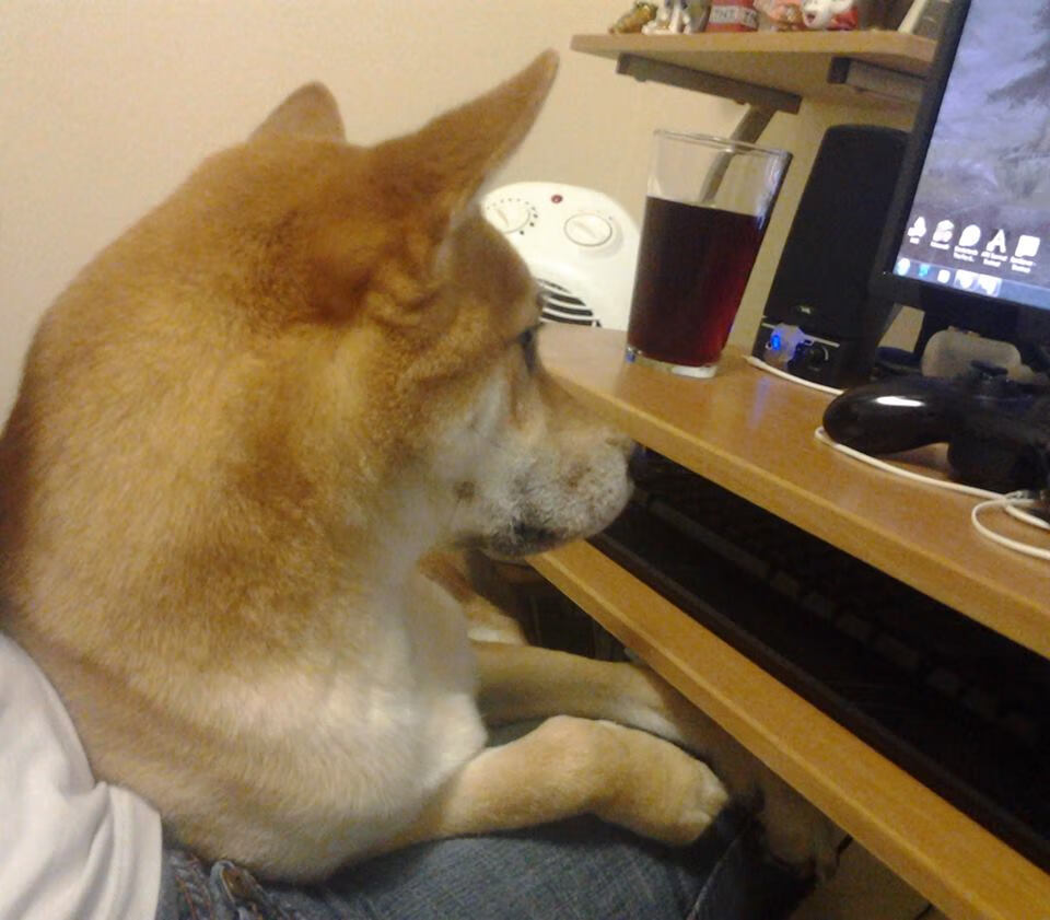 棋盘上的皇后，加维的攻防统治与尼斯的强势晋级