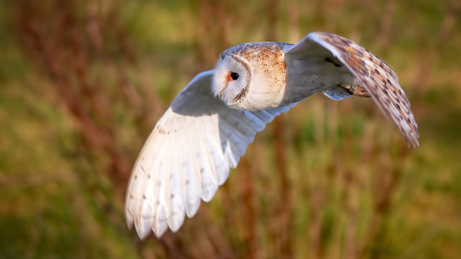 破疆！铁穹之下，辽宁擒飞虎夺东决赛点