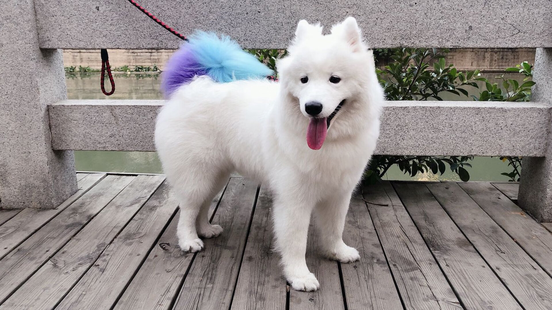 2026世界杯传奇夜，贝恩，全队最后的屏障