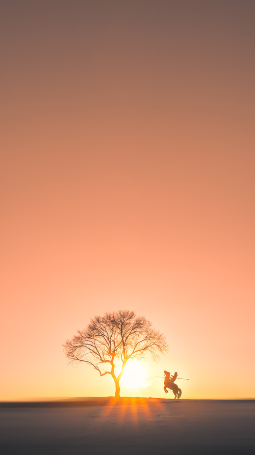 冰与火之歌,哈登的纪录之夜与山西的团队雷霆