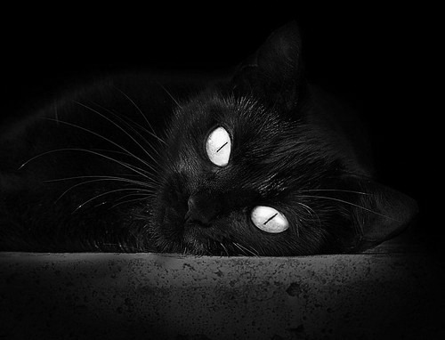 收割者的意志,当摩洛哥的坚韧收割日本的精密,苏亚雷斯成为胜负手