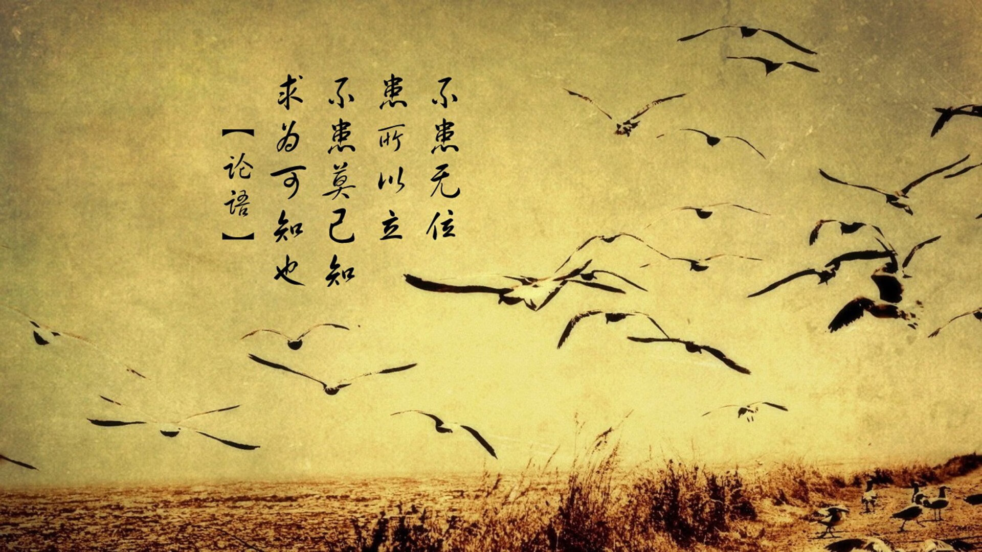 杜兰特表现堪称教科书，广东队险胜开拓者彰显教学成果