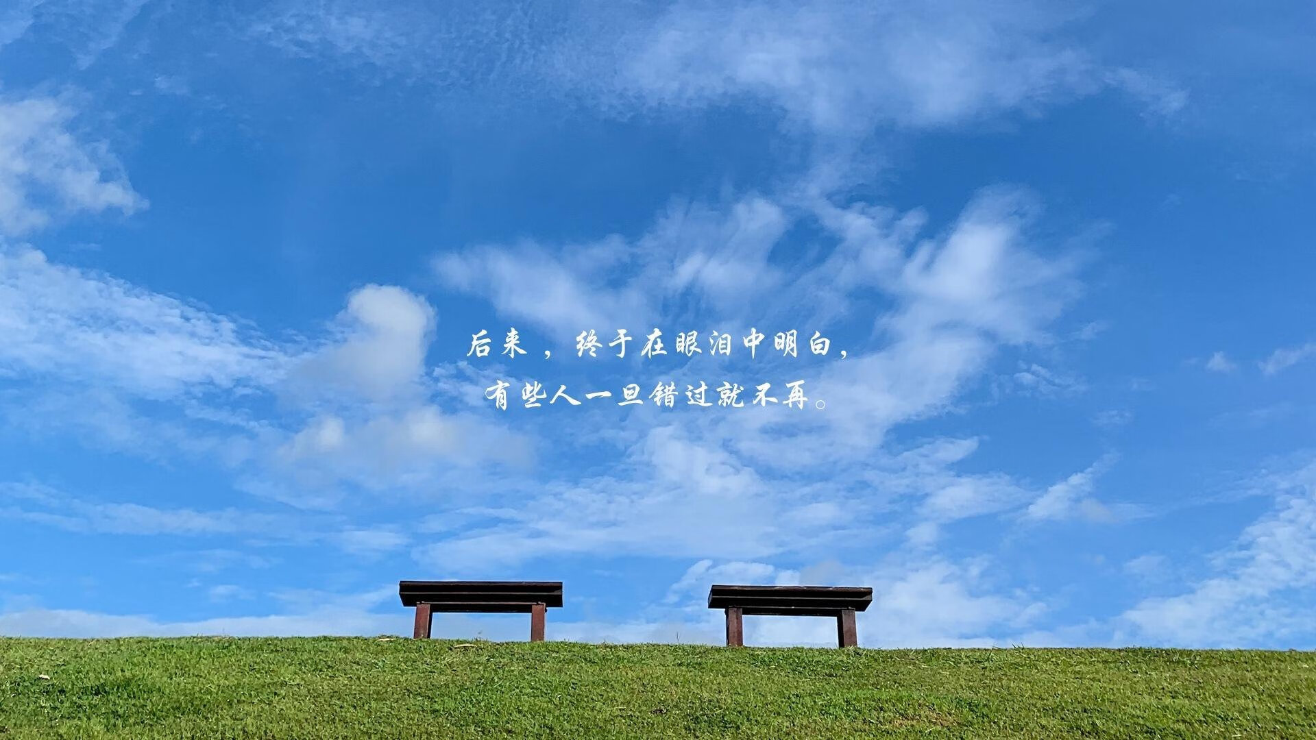 沙漠风暴席卷欧洲堡垒—2026世界杯黑马之战,卡塔尔以控球艺术颠覆瑞士军团
